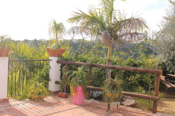 Villa El Nido Nerja Exteriör bild